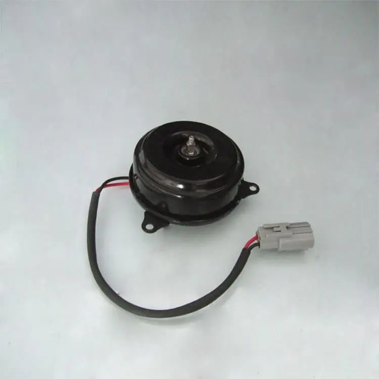 FAN MOTOR