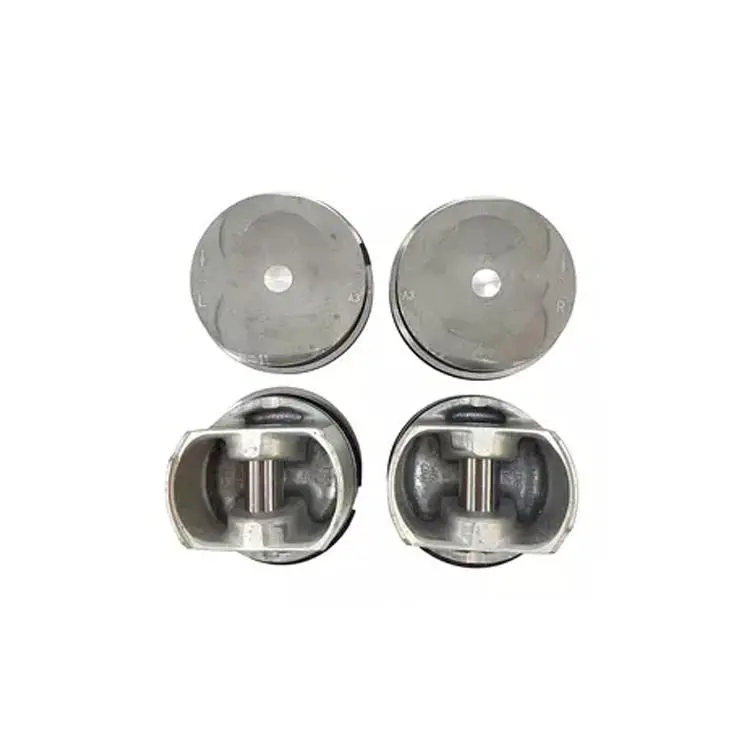 PISTON & PIN ASSY