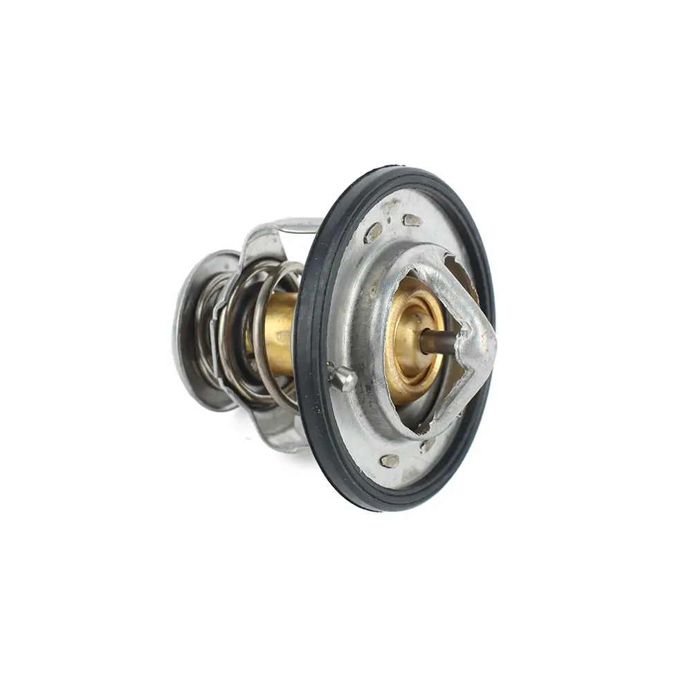 THERMOSTAT KIT