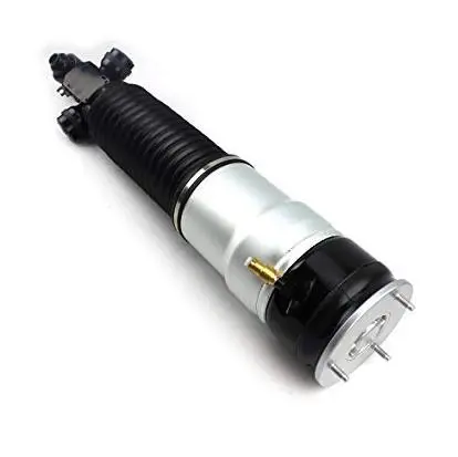 AIR SHOCK ABSORBER
