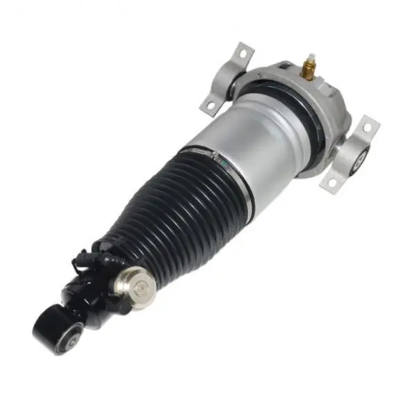 AIR SHOCK ABSORBER