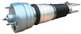 AIR SHOCK ABSORBER