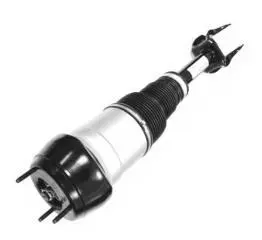 AIR SHOCK ABSORBER