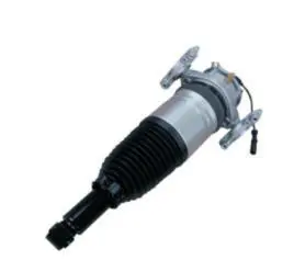 AIR SHOCK ABSORBER