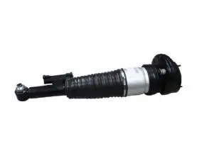 AIR SHOCK ABSORBER