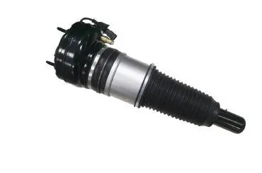 AIR SHOCK ABSORBER