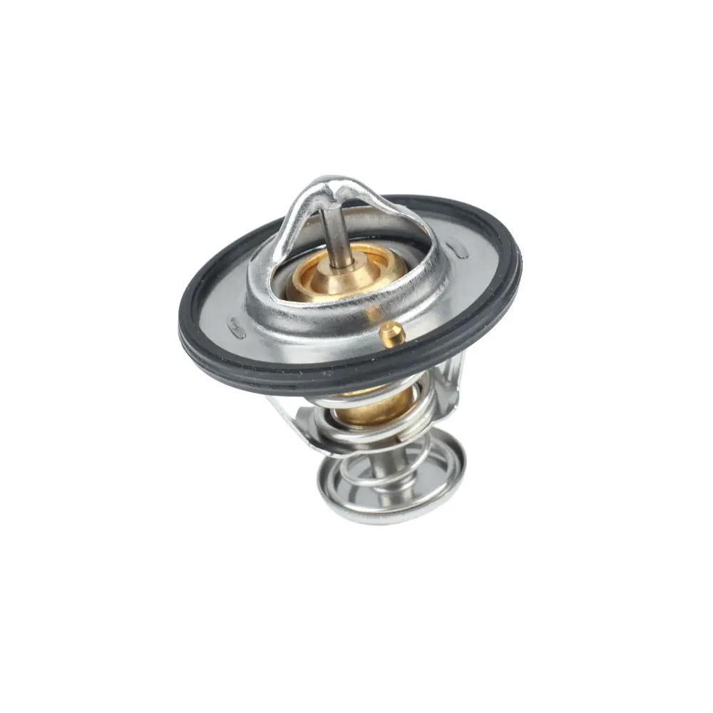 THERMOSTAT KIT