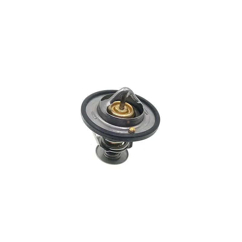 THERMOSTAT KIT