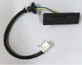 SWITCH ASSY-TRUNK OPENER