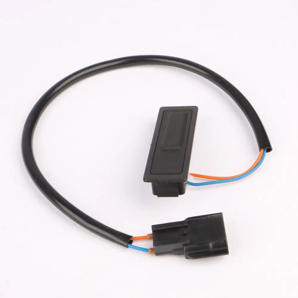 SWITCH ASSY-TRUNK OPENER