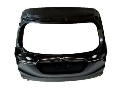 TAILGATE PANEL