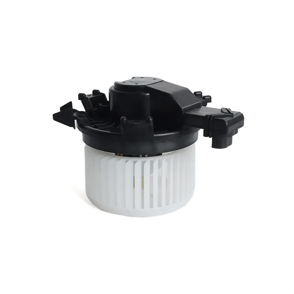 HEATER FAN & MOTOR KIT