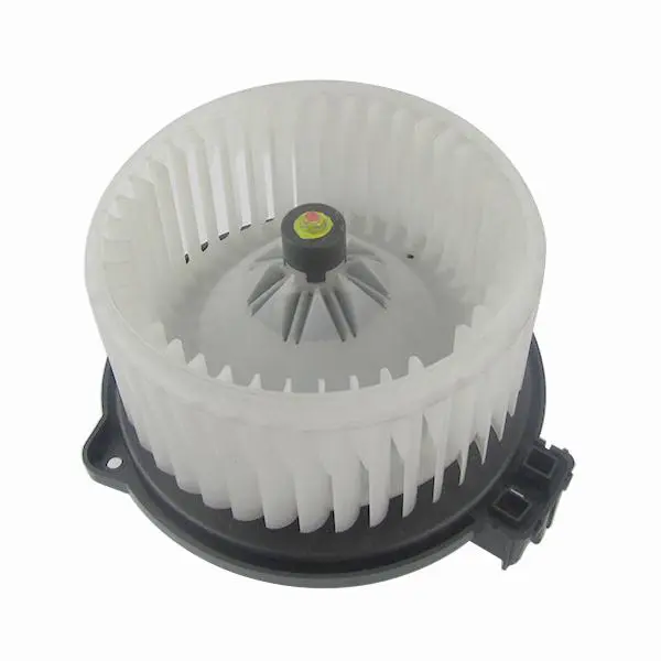 HEATER FAN & MOTOR KIT