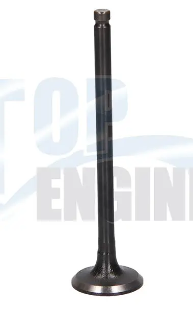 VALVE,ENGINE