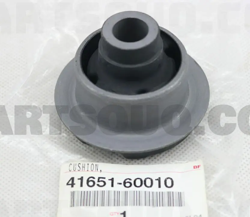 BUSHING,DIFF MOUNTING