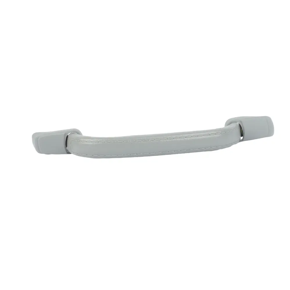 ROOF INSIDE ASSIST GRIP