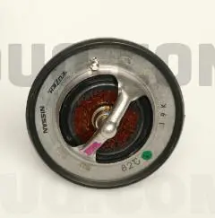 THERMOSTAT KIT