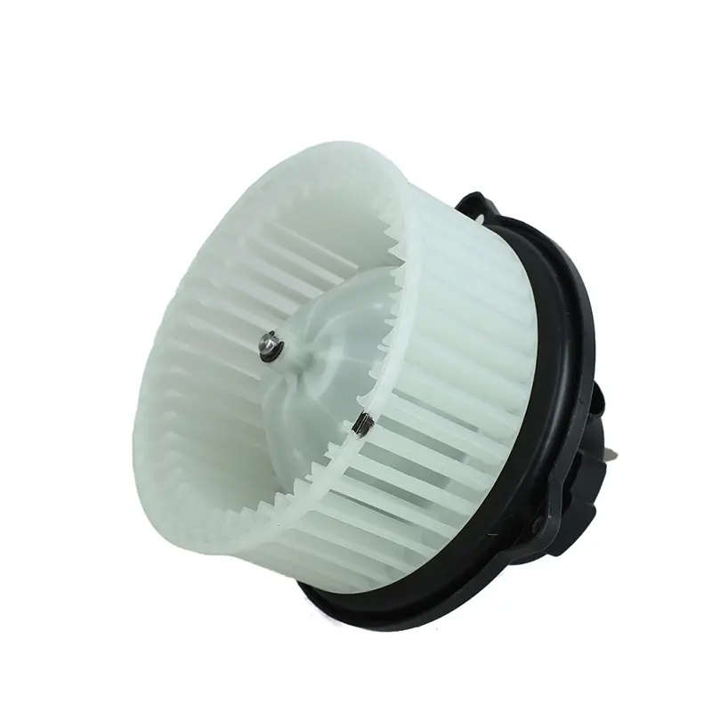 HEATER FAN & MOTOR KIT