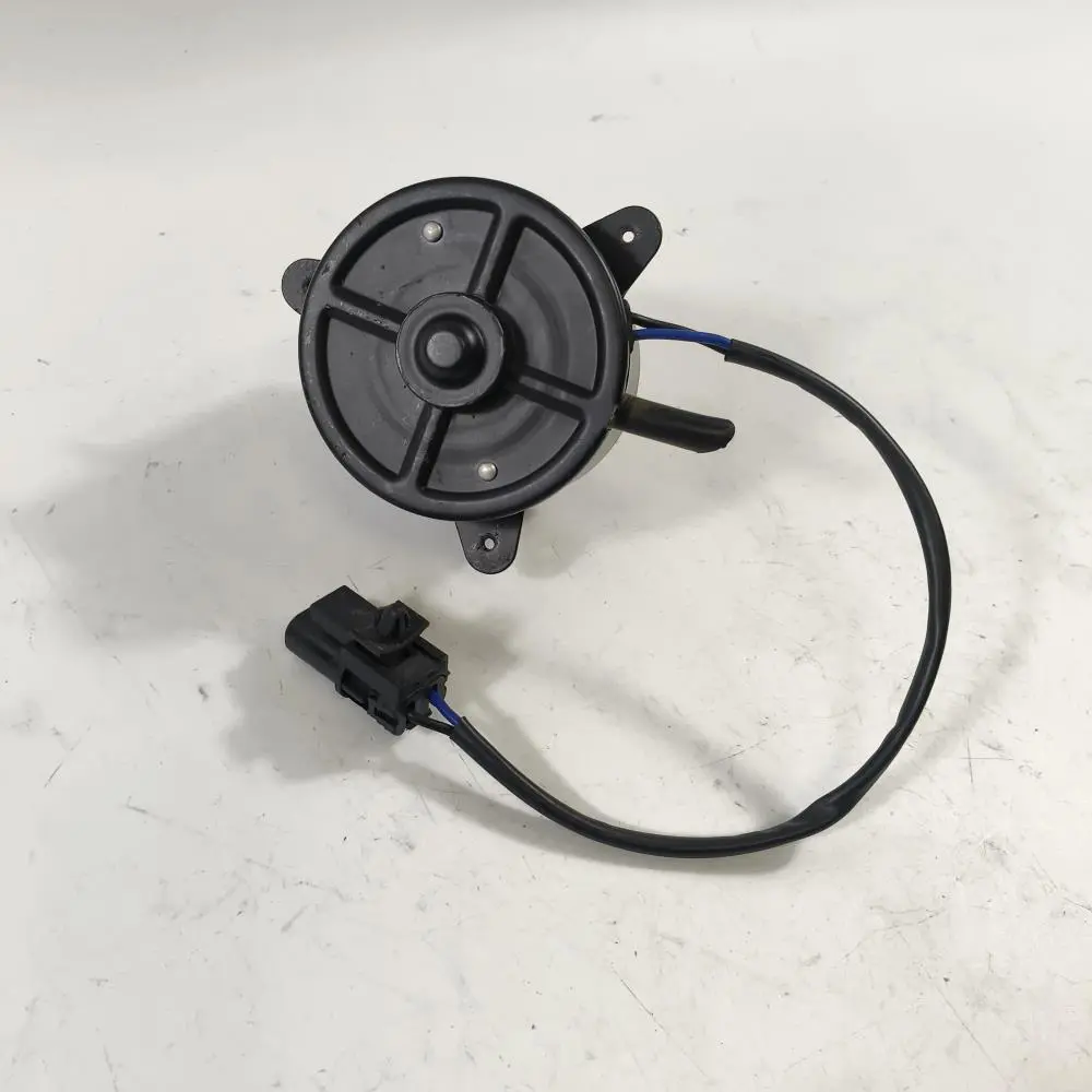 FAN MOTOR