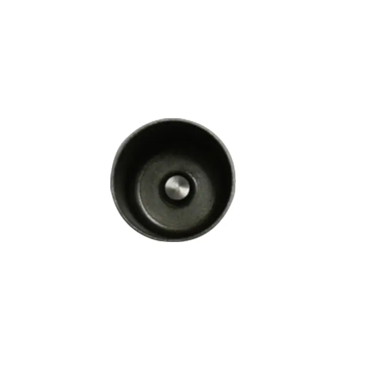 VALVE LIFTER