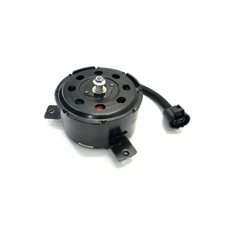 FAN MOTOR