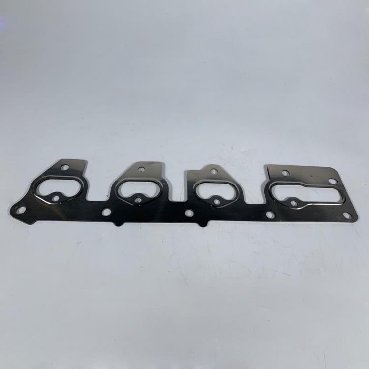 GASKET-E/MANIF