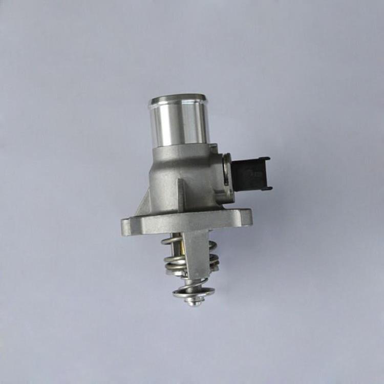 THERMOSTAT